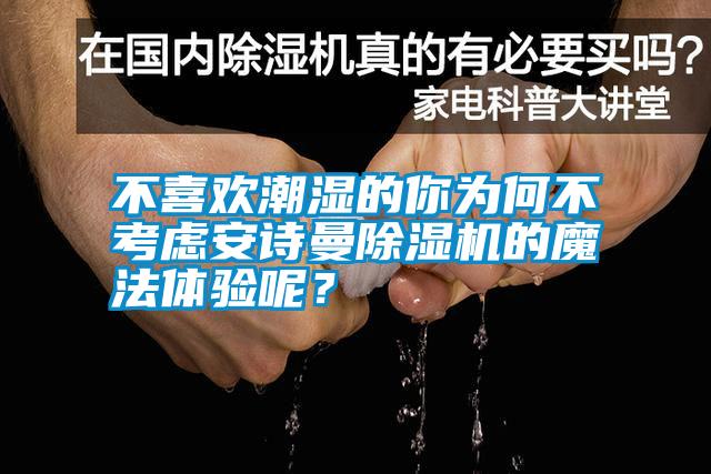 不喜歡潮濕的你為何不考慮安詩曼除濕機的魔法體驗呢？