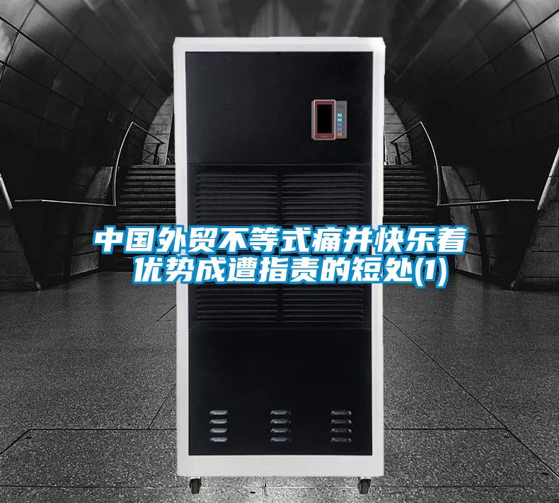 中國外貿(mào)不等式痛并快樂著 優(yōu)勢成遭指責(zé)的短處(1)