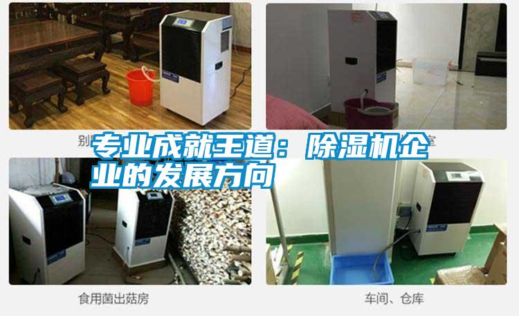 專(zhuān)業(yè)成就王道:除濕機(jī)企業(yè)的發(fā)展方向