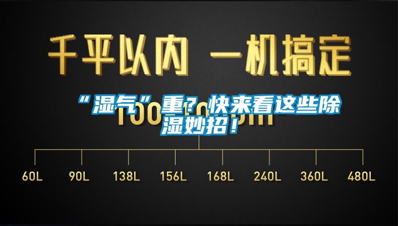 “濕氣”重?快來看這些除濕妙招!