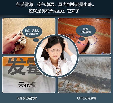 家庭別墅的地下室、衛(wèi)生間、儲(chǔ)物室等該如何除濕？