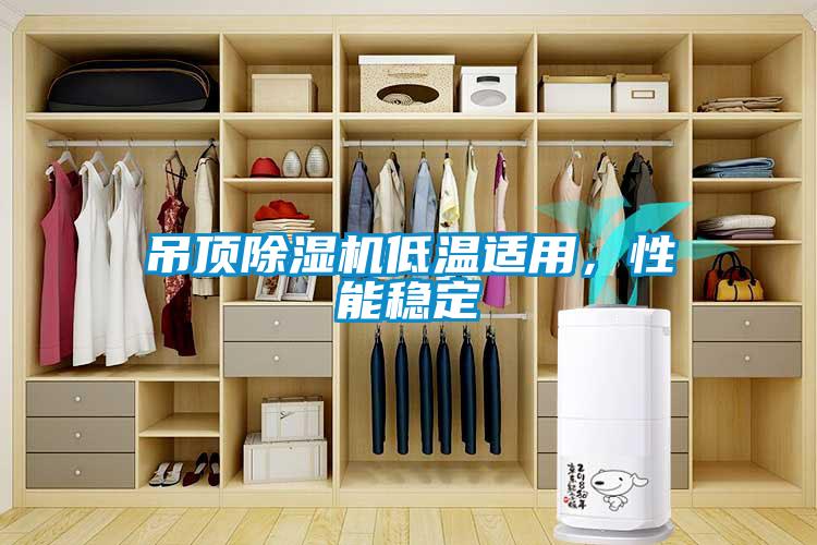 吊頂除濕機低溫適用，性能穩定