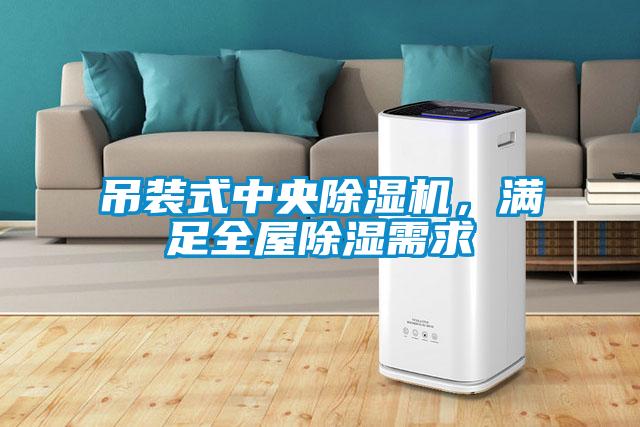 吊裝式中央除濕機,滿足全屋除濕需求
