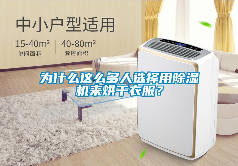 為什么這么多人選擇用除濕機來烘干衣服？