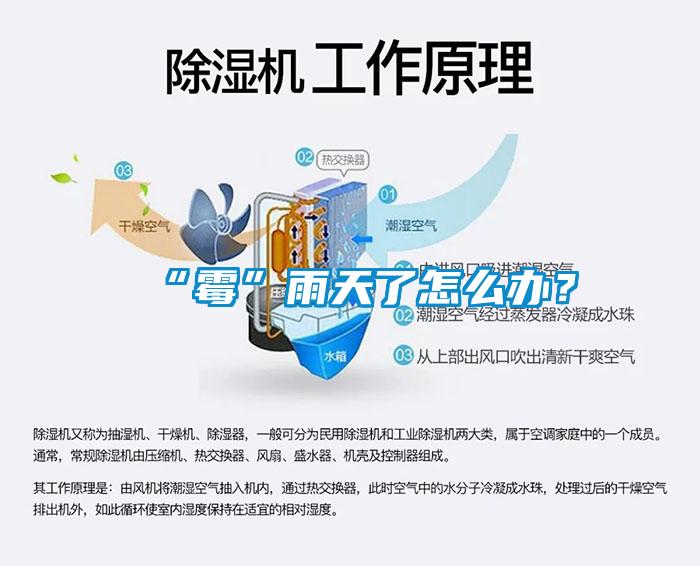 “霉”雨天了怎么辦？