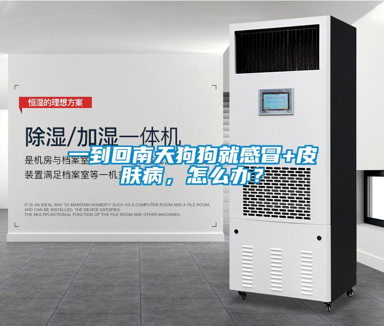 一到回南天狗狗就感冒+皮膚病，怎么辦？