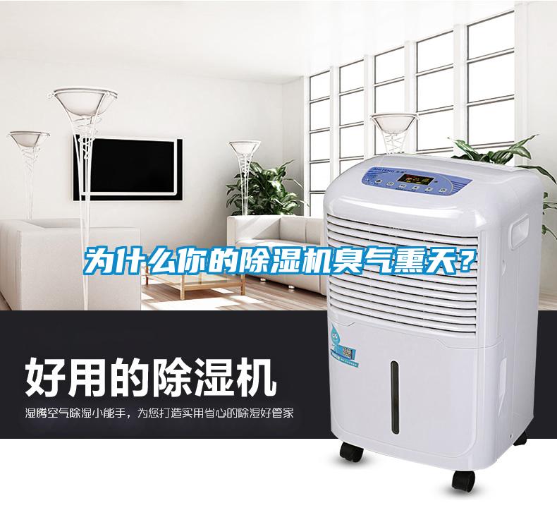 為什么你的除濕機臭氣熏天?