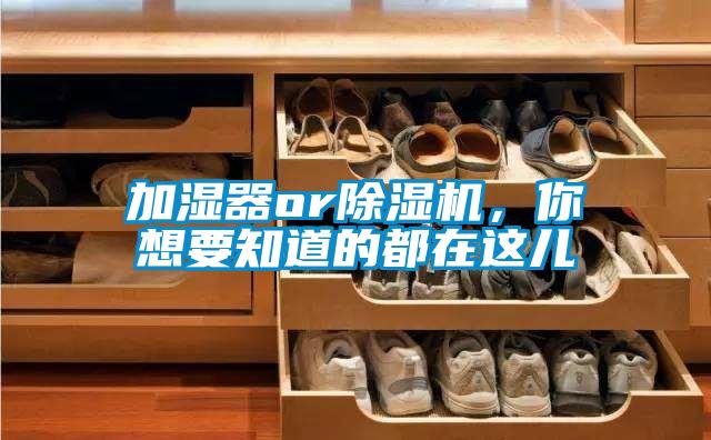 加濕器or除濕機，你想要知道的都在這兒
