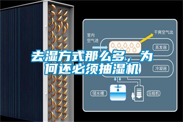去濕方式那么多，為何還必須抽濕機