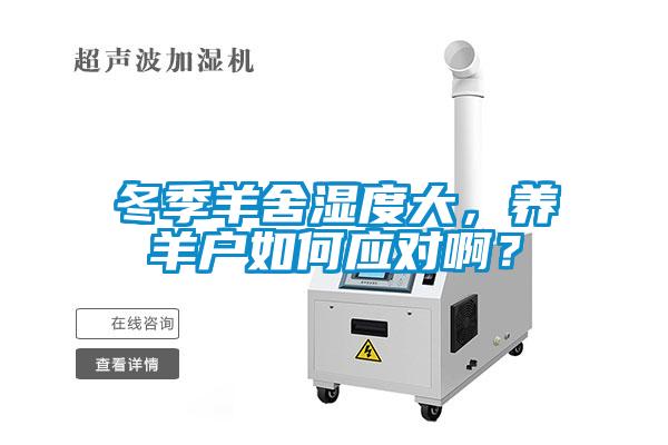 冬季羊舍濕度大，養(yǎng)羊戶如何應(yīng)對啊？