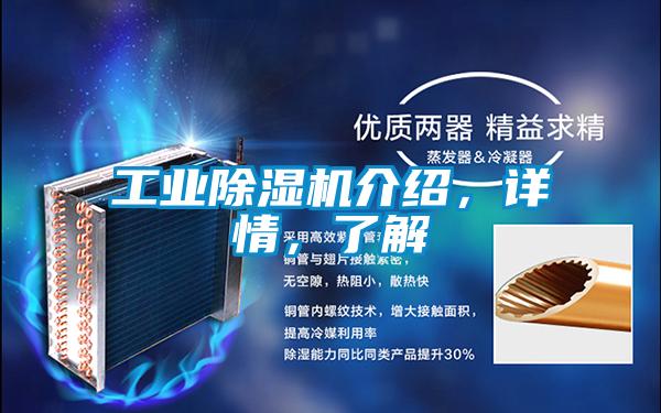 工業(yè)除濕機介紹，詳情，了解