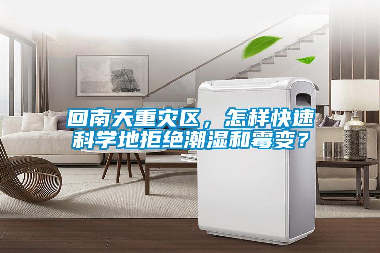 回南天重災區，怎樣快速科學地拒絕潮濕和霉變？