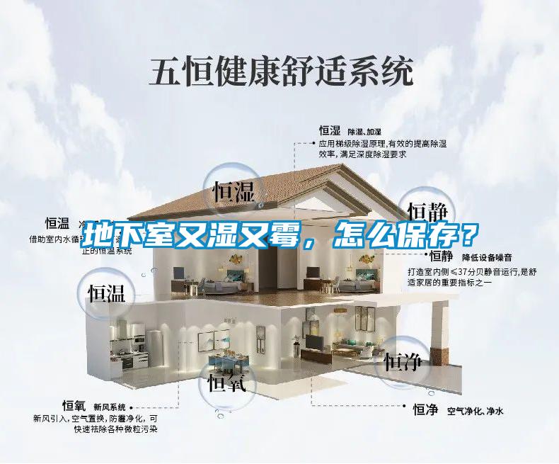 地下室又濕又霉，怎么保存？