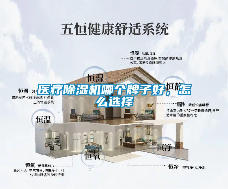 醫療除濕機哪個牌子好，怎么選擇