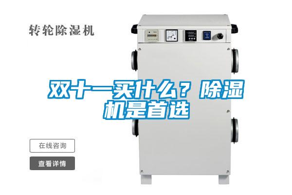 雙十一買(mǎi)什么?除濕機(jī)是首選