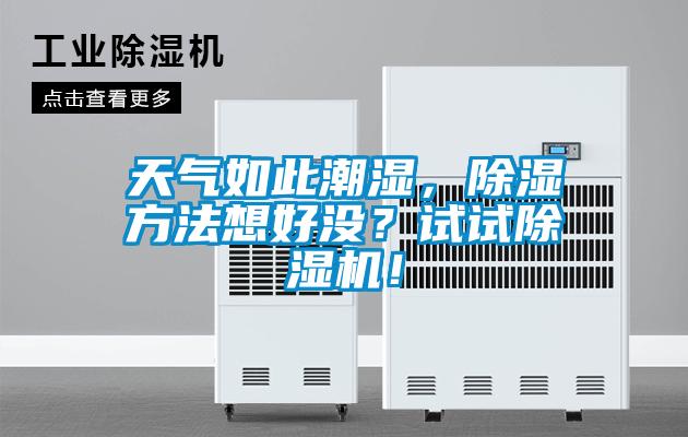 天氣如此潮濕,除濕方法想好沒?試試除濕機(jī)!