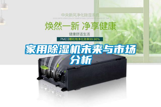 家用除濕機(jī)未來與市場(chǎng)分析