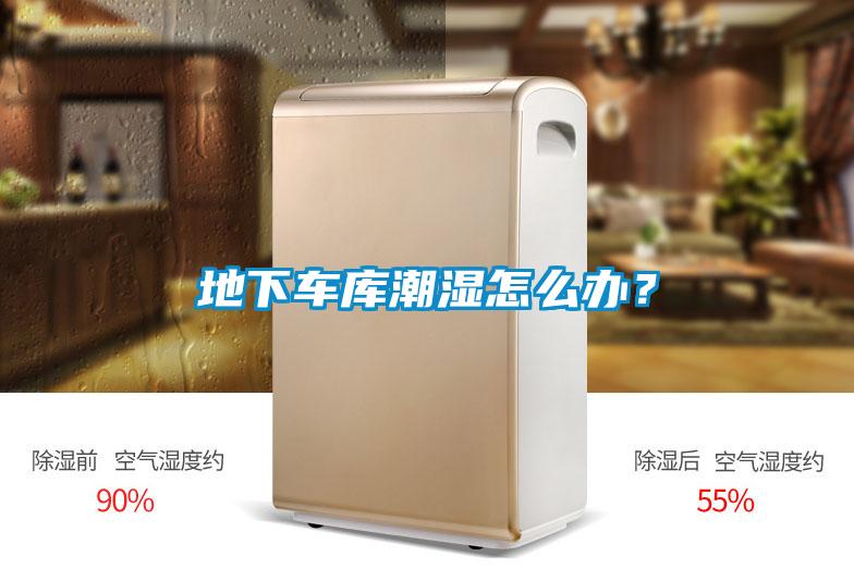 地下車(chē)庫(kù)潮濕怎么辦?
