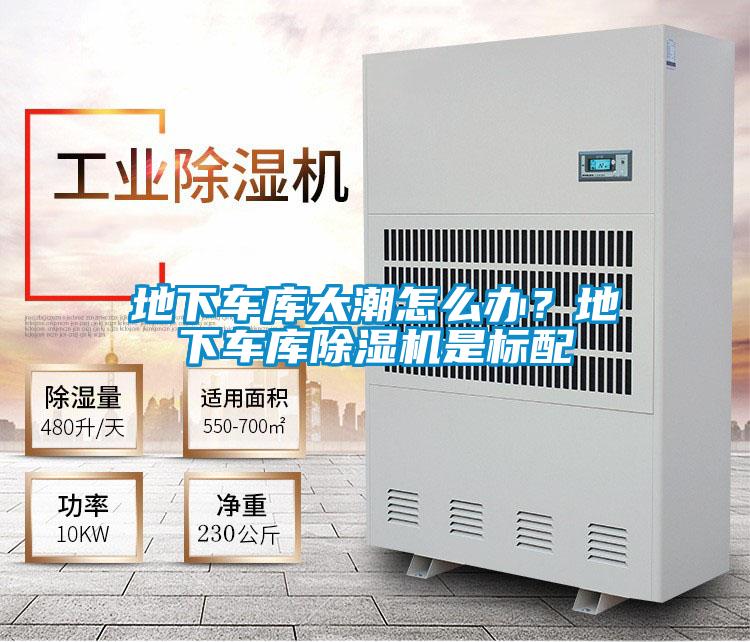 地下車庫太潮怎么辦?地下車庫除濕機是標(biāo)配