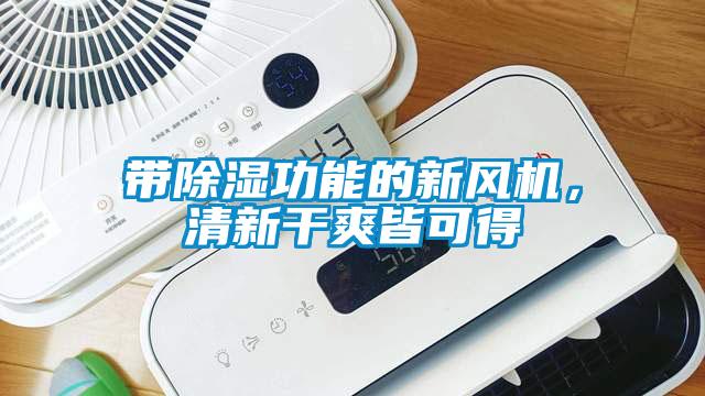 帶除濕功能的新風(fēng)機(jī)，清新干爽皆可得