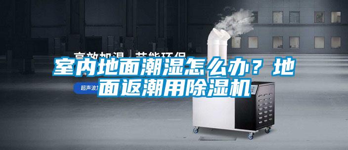 室內地面潮濕怎么辦?地面返潮用除濕機