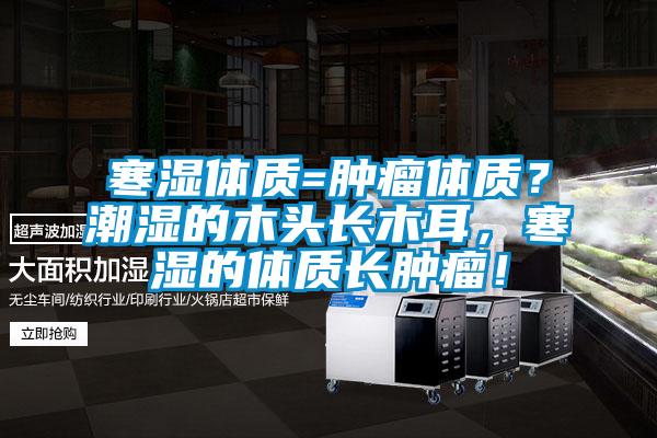 寒濕體質=腫瘤體質？潮濕的木頭長木耳，寒濕的體質長腫瘤！