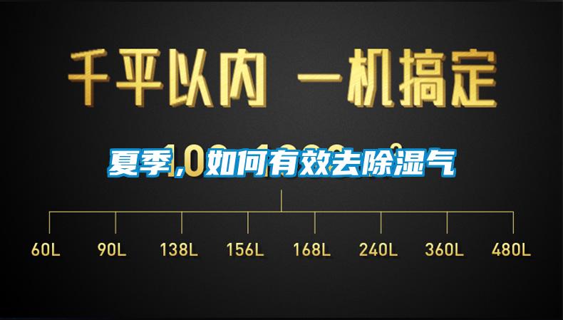 夏季，如何有效去除濕氣