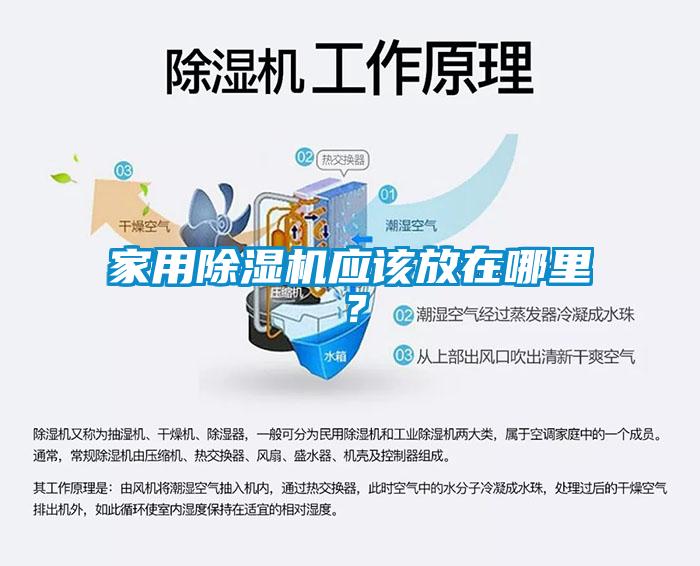 家用除濕機應該放在哪里？