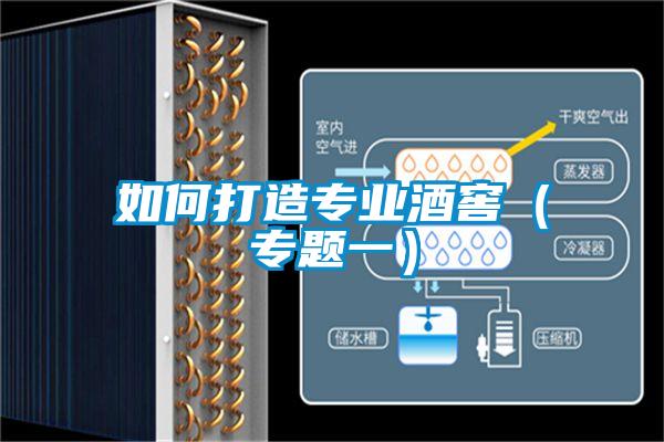 如何打造專業(yè)酒窖(專題一)