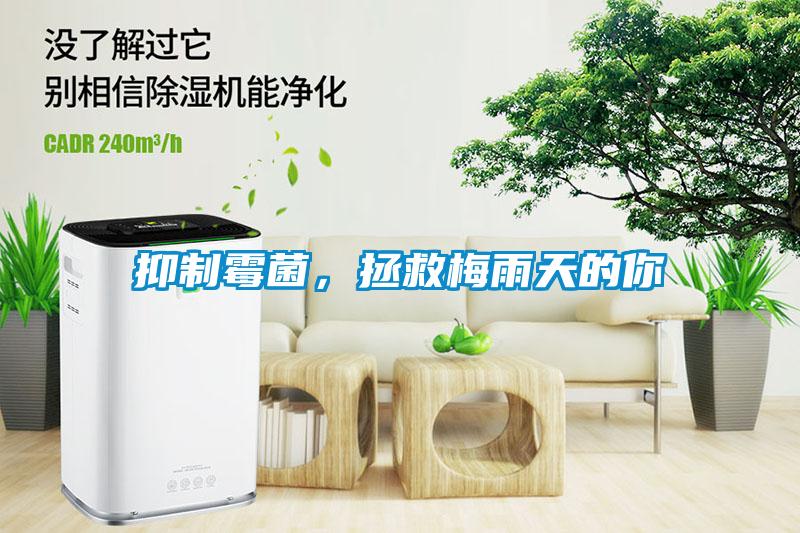 抑制霉菌，拯救梅雨天的你