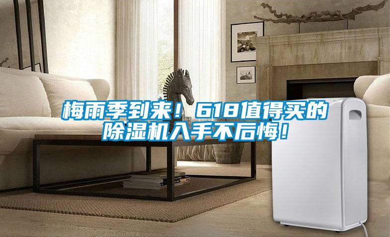 梅雨季到來(lái)！618值得買(mǎi)的除濕機(jī)入手不后悔！