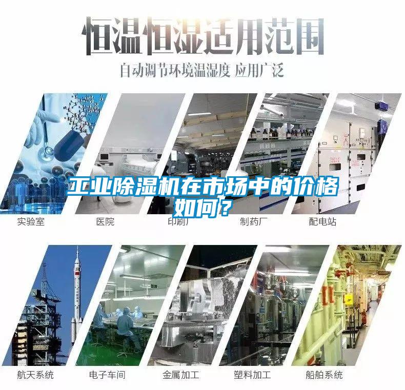 工業除濕機在市場中的價格如何？