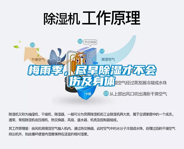 梅雨季，盡早除濕才不會傷及身體
