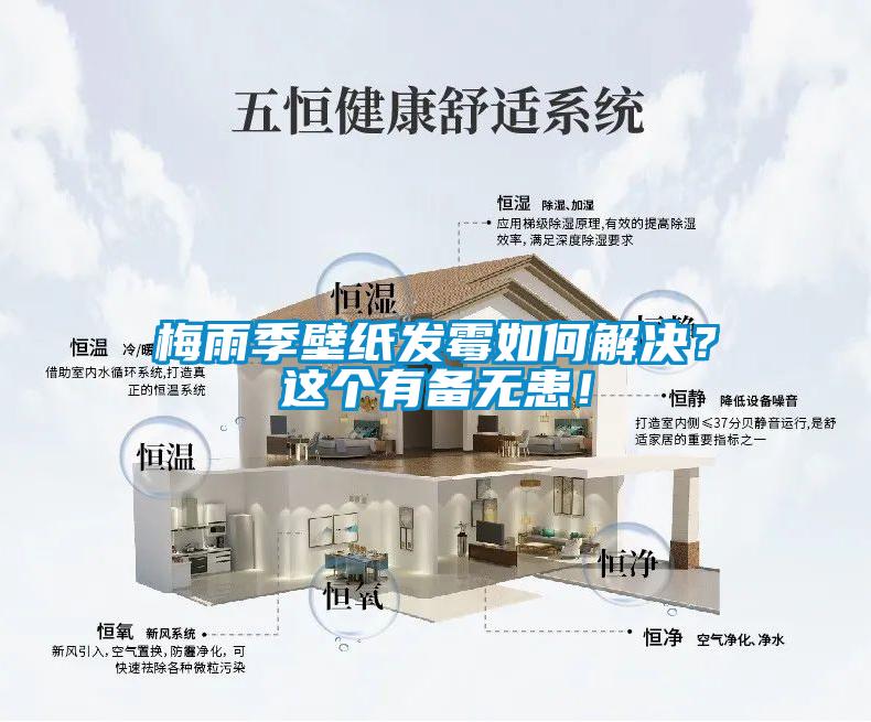 梅雨季壁紙發(fā)霉如何解決？這個有備無患！