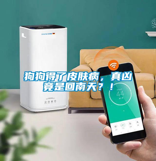 狗狗得了皮膚病，真兇竟是回南天？！