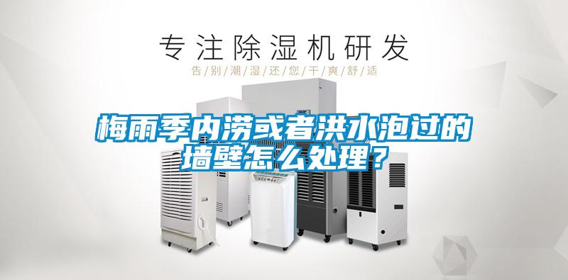 梅雨季內澇或者洪水泡過的墻壁怎么處理？