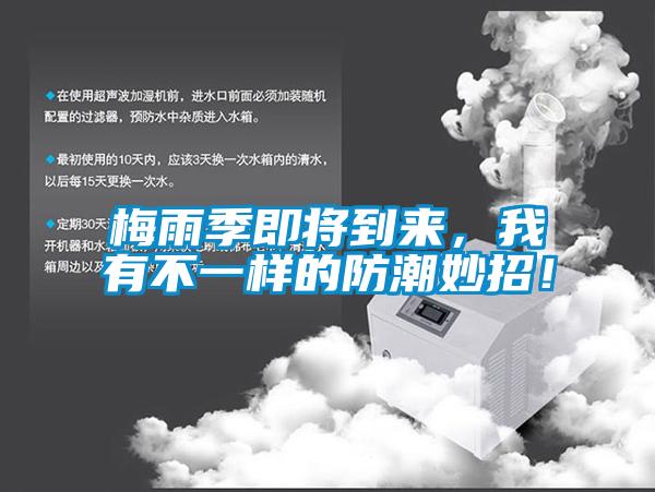 梅雨季即將到來，我有不一樣的防潮妙招！