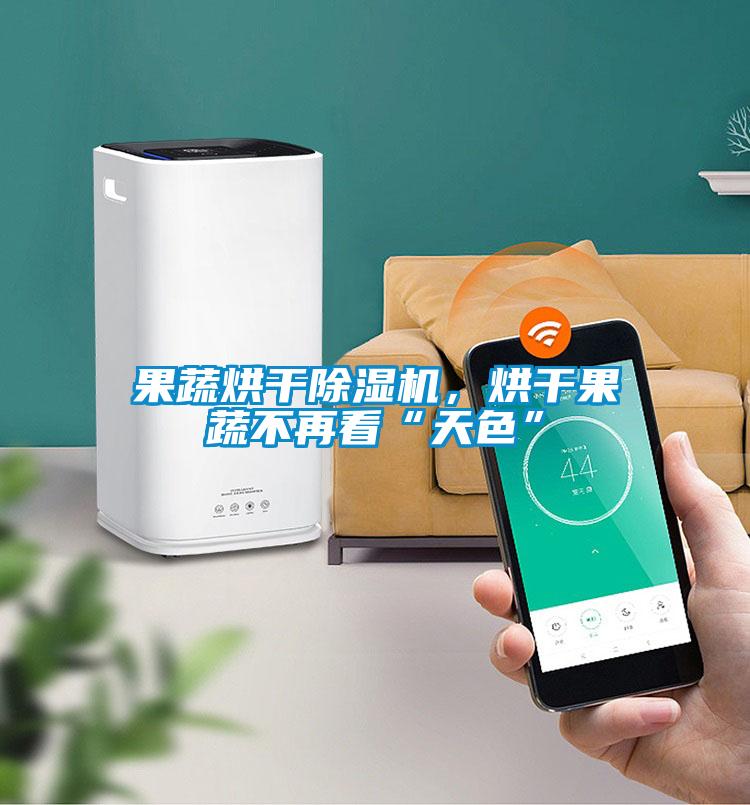 果蔬烘干除濕機(jī)，烘干果蔬不再看“天色”