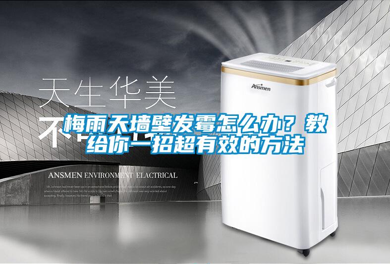 梅雨天墻壁發霉怎么辦？教給你一招超有效的方法