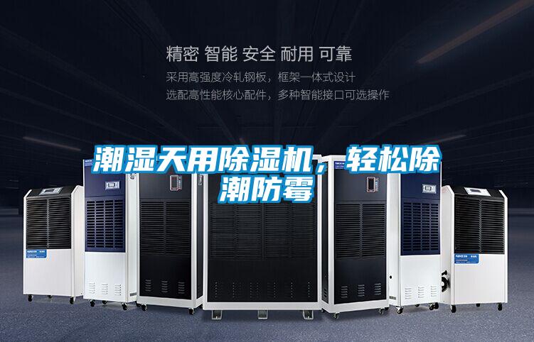 潮濕天用除濕機(jī)，輕松除潮防霉