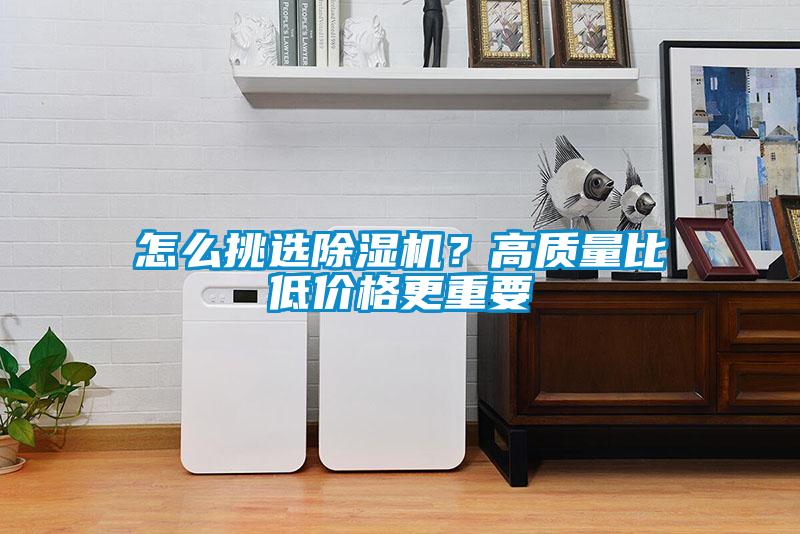 怎么挑選除濕機？高質量比低價格更重要