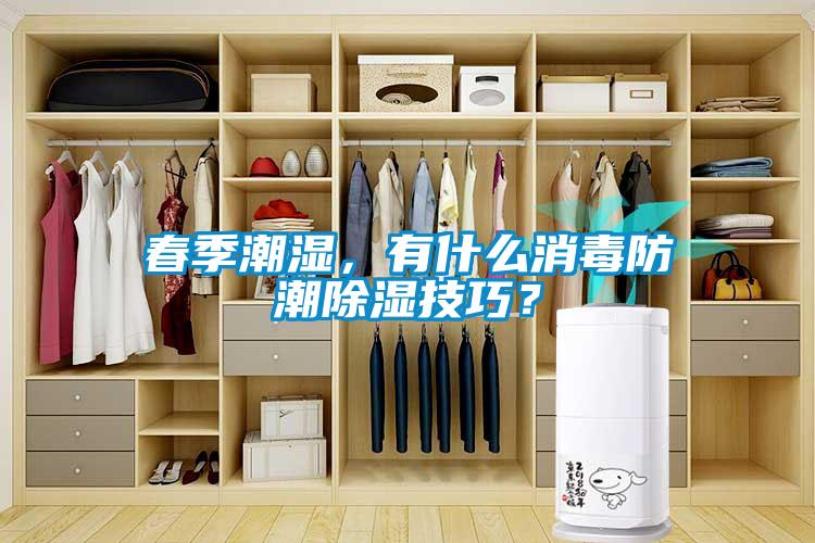 春季潮濕，有什么消毒防潮除濕技巧？