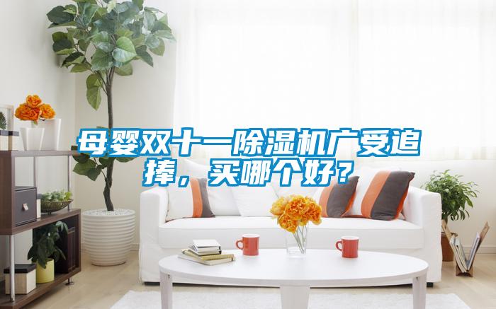 母嬰雙十一除濕機(jī)廣受追捧，買哪個(gè)好？