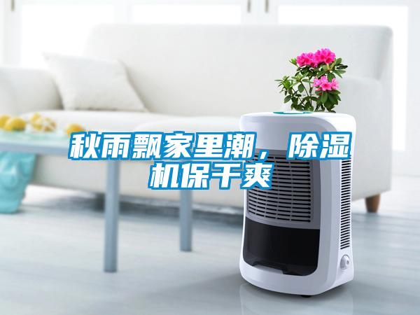 秋雨飄家里潮，除濕機保干爽