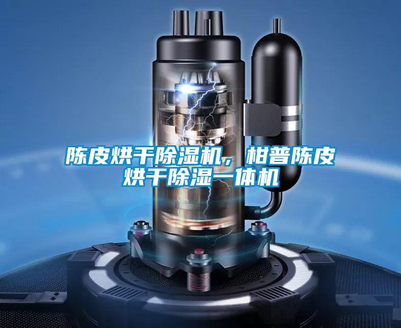 陳皮烘干除濕機(jī),柑普陳皮烘干除濕一體機(jī)