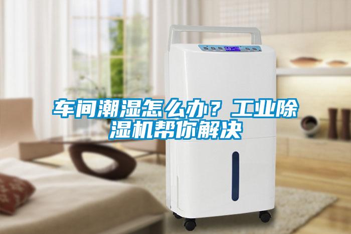 車間潮濕怎么辦？工業除濕機幫你解決