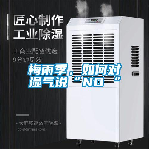 梅雨季，如何對濕氣說“NO ”