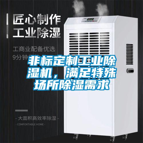 非標定制工業除濕機，滿足特殊場所除濕需求