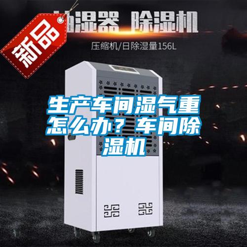 生產(chǎn)車間濕氣重怎么辦?車間除濕機(jī)