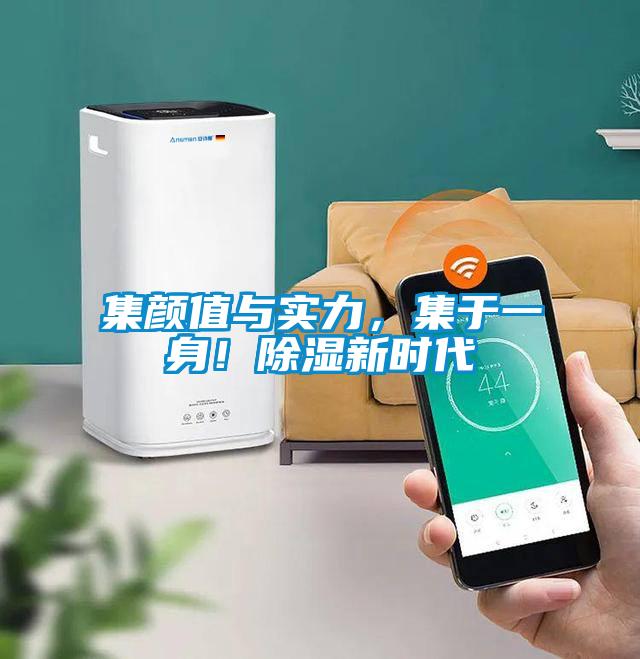 集顏值與實力，集于一身！除濕新時代